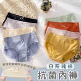 日系純棉抗菌內褲(10條/組)