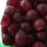 大村巨峰葡萄5台斤/箱 特價：$300