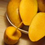 雲林紅金龍芒果