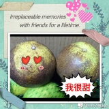 甜葡萄柚(5斤)/袋