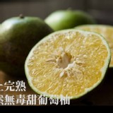 甜葡萄柚(5斤)/袋