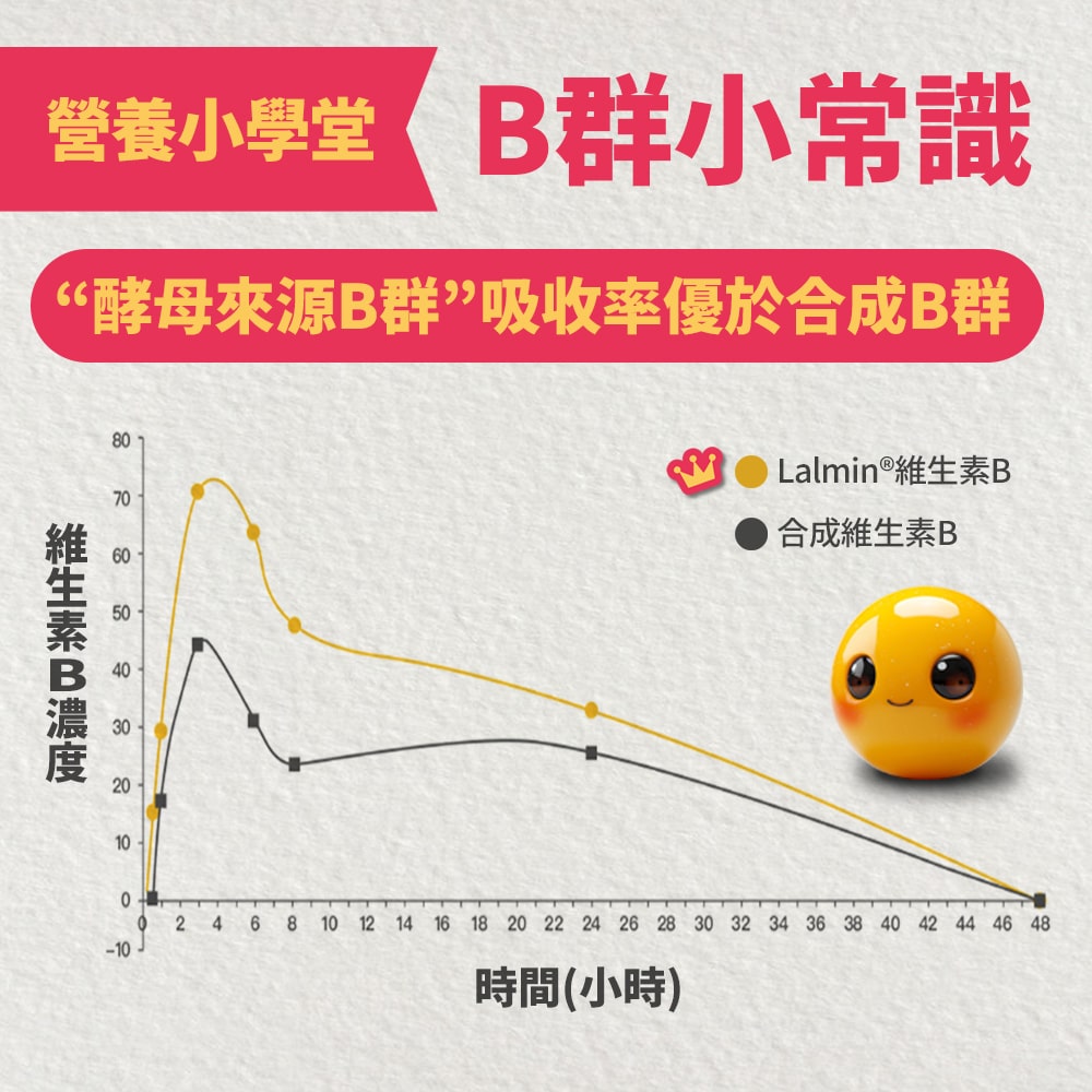 寶小學堂 B群小常識，“酵母來源B群”吸收率優於合成B群，維生素B濃度，Lalmin ® 維生素B，合成維生素B，時間(小時)。