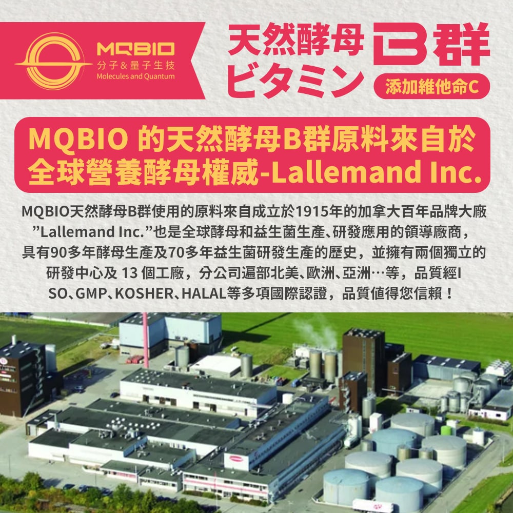 分子&量子生技，天然酵母3 群，ビタミン 添加維他命C，MQBIO 的天然酵母B群原料來自於，全球營養酵母權威-Lallemand Inc.MQBIO天然酵母B群使用的原料來自成立於1915年的加拿大百年品牌大廠，Lallemand Inc.”也是全