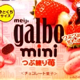 ★糖果☆明治Galbo迷你草莓巧克力盒 小小一盒,一百分的滿足