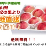 ★水果☆ 和歌山水蜜桃西日本最大產地直送 限台南市訂購裸裝單顆入 特秀皇級等級 最大產期產季桃 限台南市訂購 特價：$300