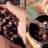 ★夏克特調綜合★咖啡豆 1磅(454g)商業批發價