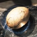 冰蛋買十送一 堅持只用紅蛋製作,8/15~31