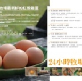 日銷1000顆的夏日冰蛋 8/20~31五入組合只賣60元