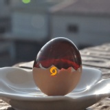麗園牧場皮蛋(紅殼雞蛋)