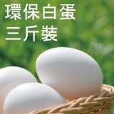 [白蛋]3台斤-環保白蛋 特價：$150