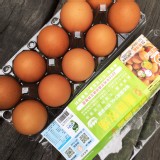 麗園牧場紅殼鮮蛋(十粒裝)