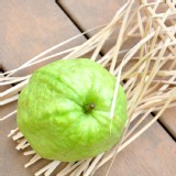 [農產品]小嫻芭樂 5台斤裝