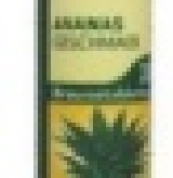 特別配方類 德國ROSSMANN發泡錠(鋅加高維他命C) 黃瓶鳳梨口味,微酸微甜口感就像初戀滋味