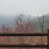 顏色: 淺灰 / 淺粉 / 灰藍 / 黑