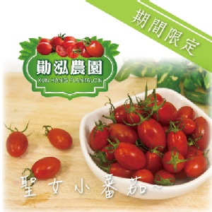《勛泓農園》嘉義太保 - 聖女小番茄 (500g/盒) 特價：$165
