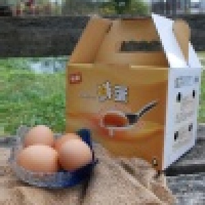 麗園牧場紅殼雞蛋(3斤裝) 3斤禮盒裝 送禮最實惠 特價：$150