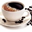 ☆夏克Shock coffee特價中☆摩卡咖啡豆☆