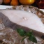 班機新鮮產地直送 ★阿拉斯加鱈魚切片300g★肉質鮮嫩美味，入口即化 -GOHA