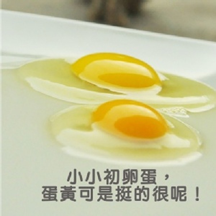 麗園牧場初卵蛋(30粒裝宅配版)
