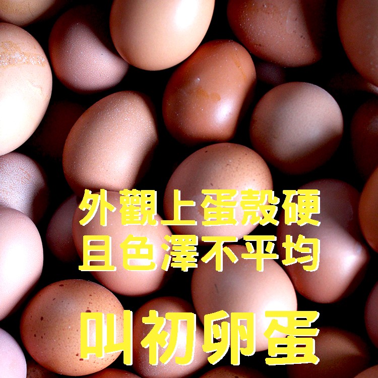 麗園牧場初卵蛋(30粒裝宅配版)