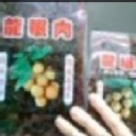 東山龍眼肉 團購價3盒1000元～1斤裝1盒