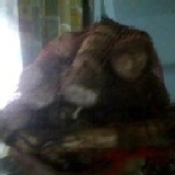 小芋頭 3斤100元