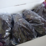 昭明葡萄-『吉園圃』4袋裝成1箱(含箱重)4.5台斤 特價：$275