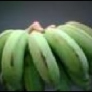 芭蕉 1斤30元團購4斤100元 特價：$30