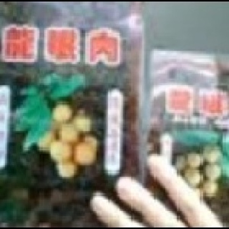 東山龍眼肉 團購價3盒1000元～1斤裝1盒