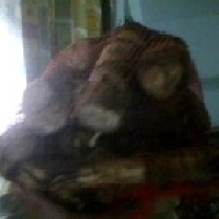 小芋頭 3斤100元