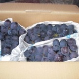 平林葡萄 特價：$300
