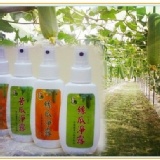 空瓶100ml 噴霧瓶一瓶