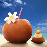 峇里島風情蘋果年輪 特價：$399