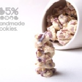 105% 甜蜜 蔓越莓巧克力 酸甜口感 清爽可口 香氣馥郁(蛋奶素) 300公克(約60顆)