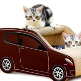 車子款