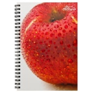 美國O'BON環保甘蔗筆記本(A6)水果系列Apple