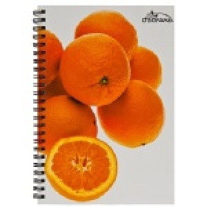 美國O'BON環保甘蔗筆記本(A6)水果系列Orange