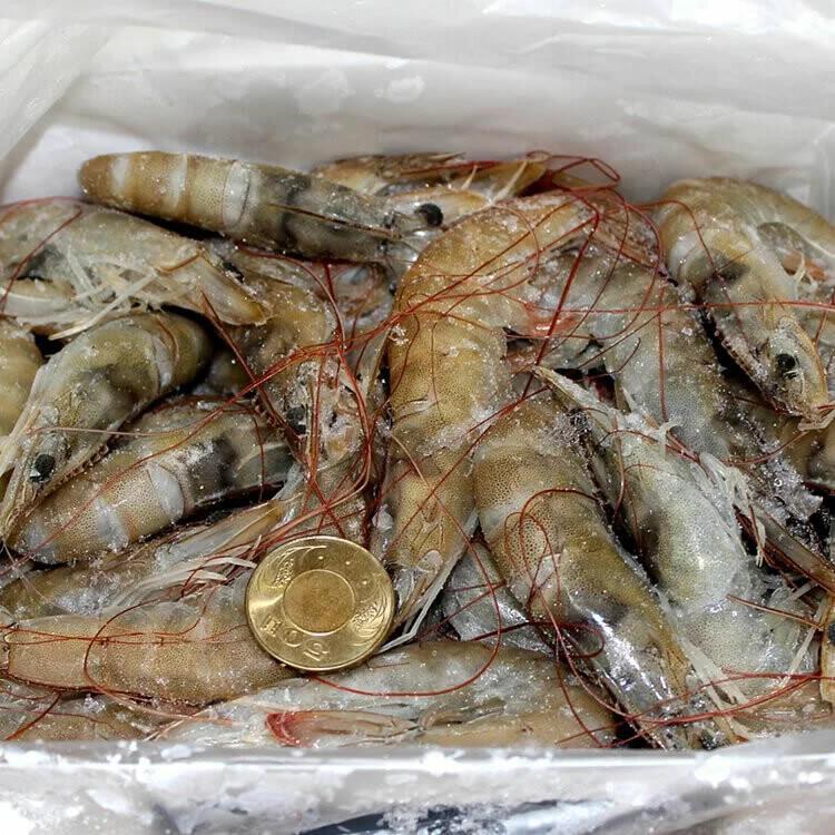 南美進口活凍白蝦《偏大隻高級品》800公克/盒(29-30隻)