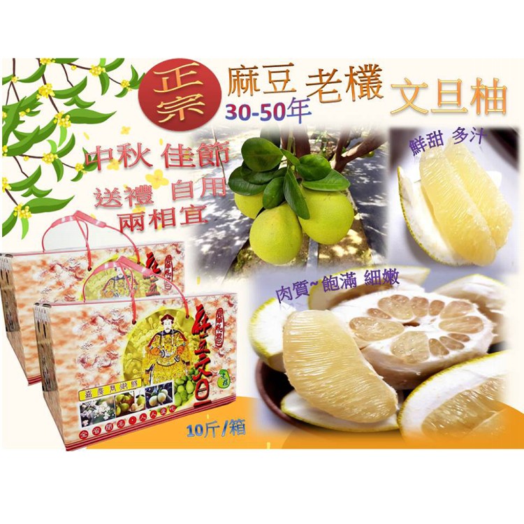 中秋節 麻豆 正宗老欉文旦柚 現貨
