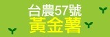 [大合購] 台農57號黃金薯 ◙ 濃郁地瓜香氣，口感綿密~