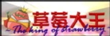 草莓大王
