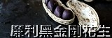 廉利黑金剛花生