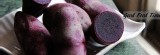 番薯咚咚 Yam DonDon