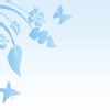 bluebell (26)