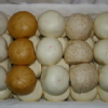 linda0909136 (11)