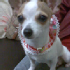 A0929455643 (8)