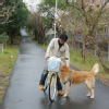 ludin7 (0)