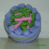 ckj18an2 (18)