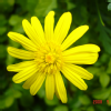 kwn0720 (79)